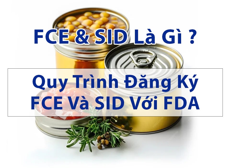 Đăng ký FCE và SID GPLUS