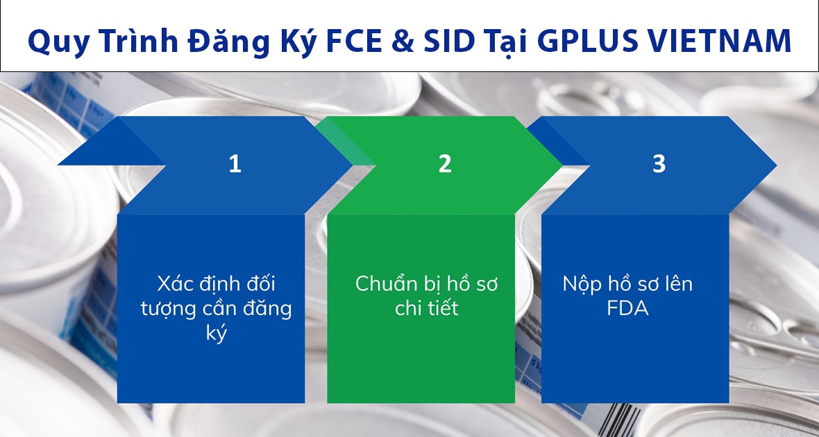 Quy Trình Đăng Ký FCE và SID Tại GPLUS VIETNAM