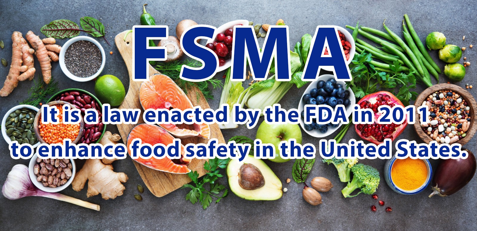 FSMA - Food Safety Modernization Act